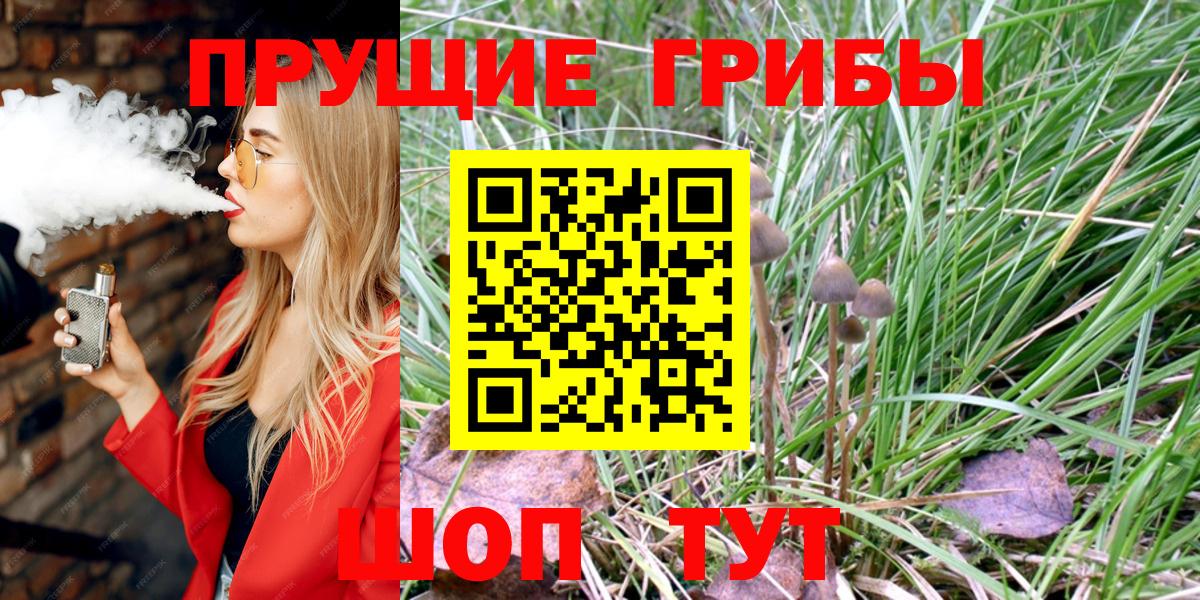 Ленинск-Кузнецкий  Псилоцибиновые грибы прущие грибы  Вход с VPN 